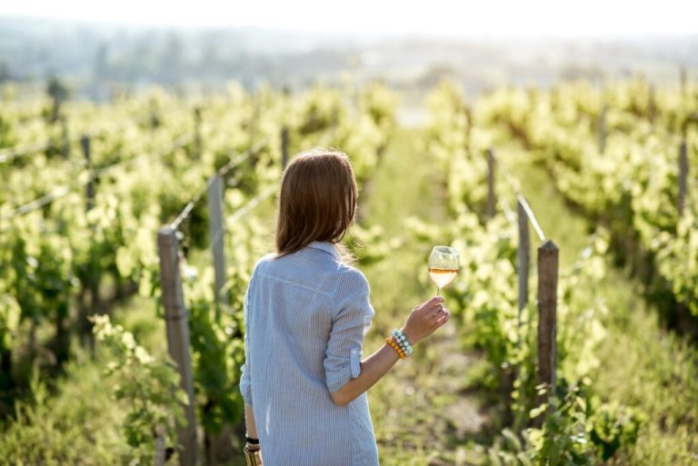 Quels sont les 10 meilleurs vins de Bourgogne